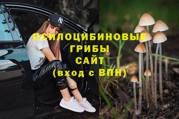 амф Осташков
